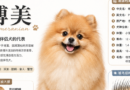 GPT Image2 提示词系列 收藏级百科卡